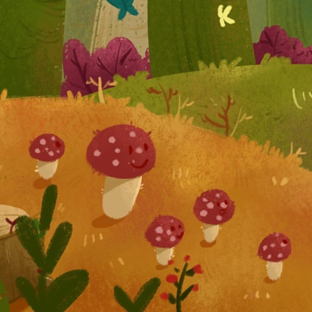 BOXPLASE种子奇缘