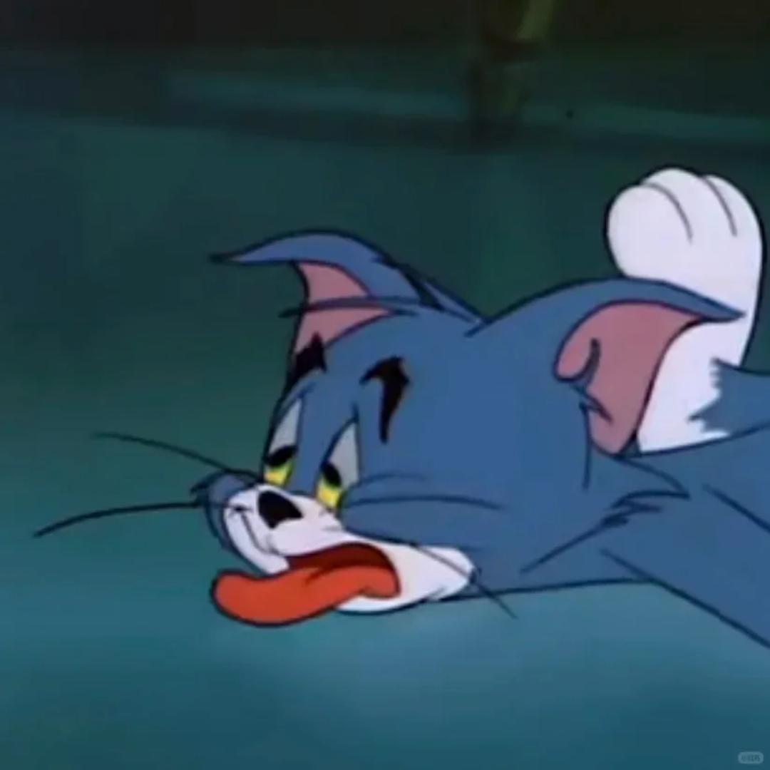 小石头🍔⁹¹¹