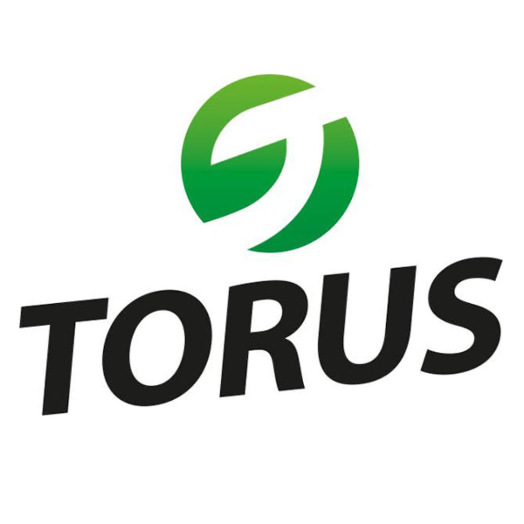 TORUS俄罗斯清洁用品