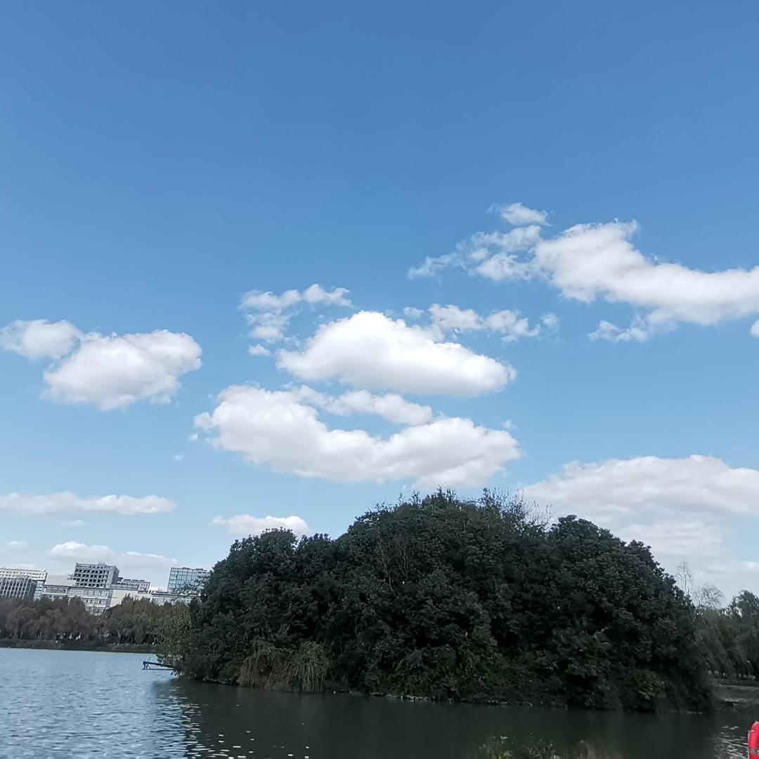 止观·