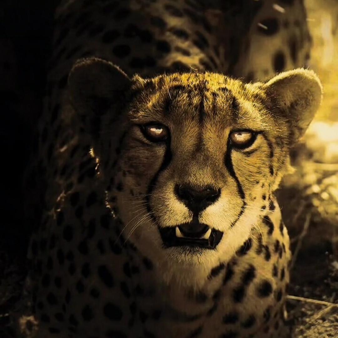 开风-奢侈品护理