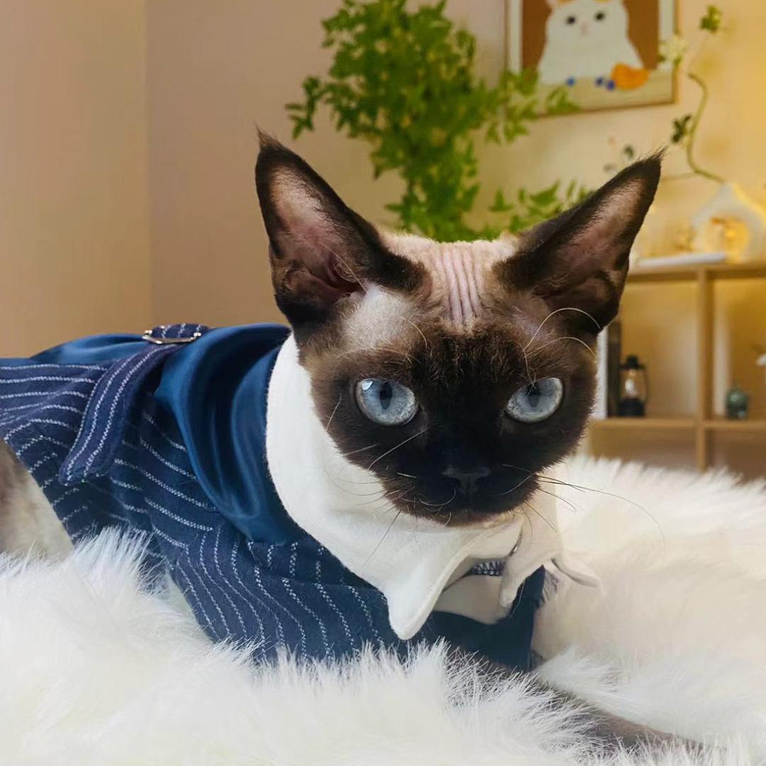 上海小岛家实业