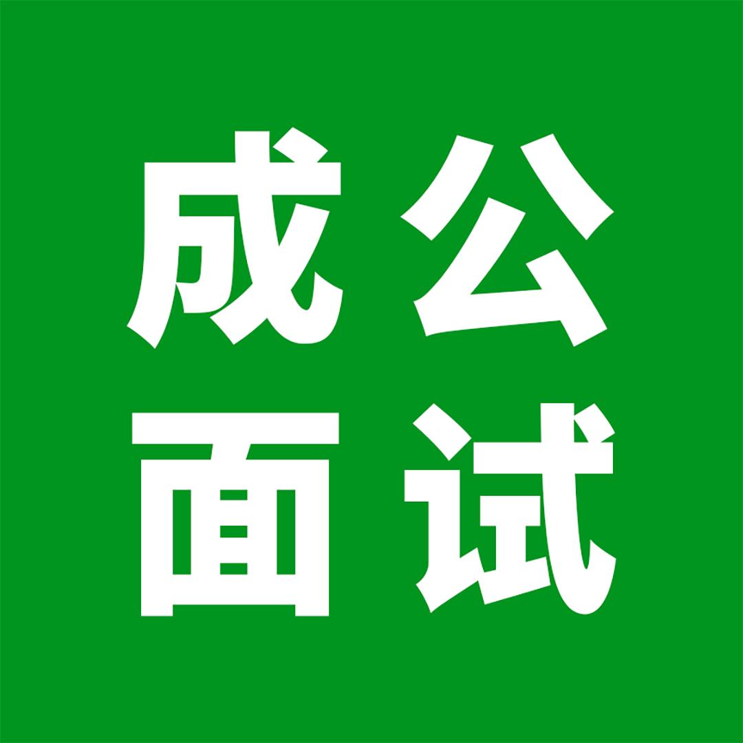 成公面试