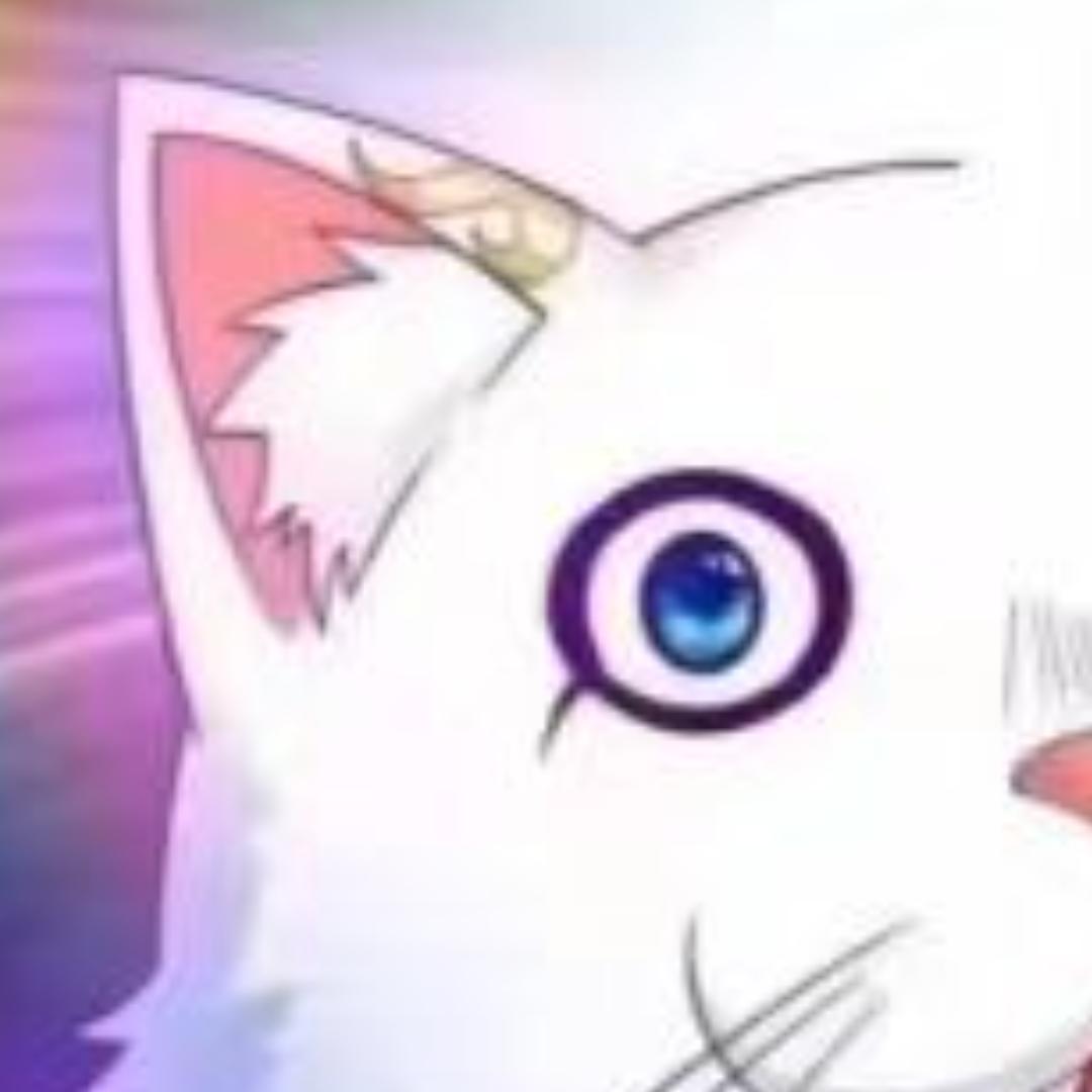 國士無雙十三面