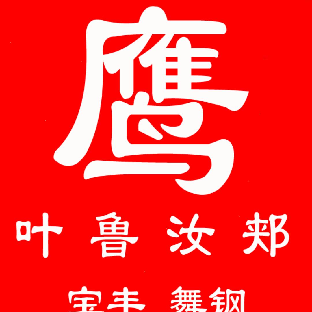 大鹰在线高朋
