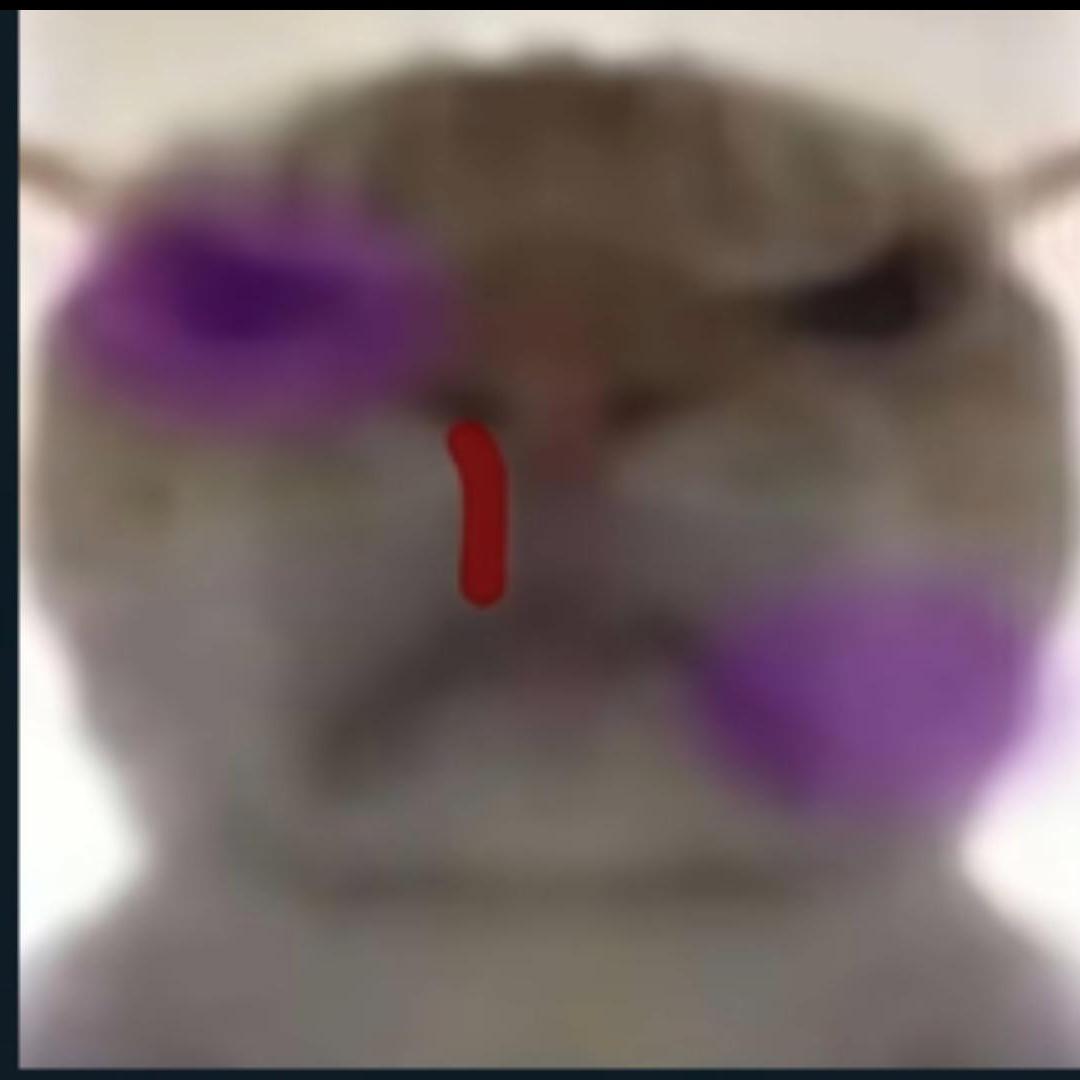 铸梦起航俱乐部（三角洲纯绿跑刀）