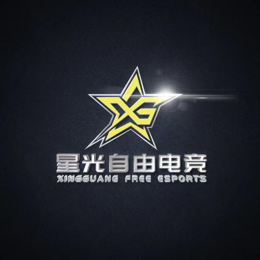 星光自由电竞