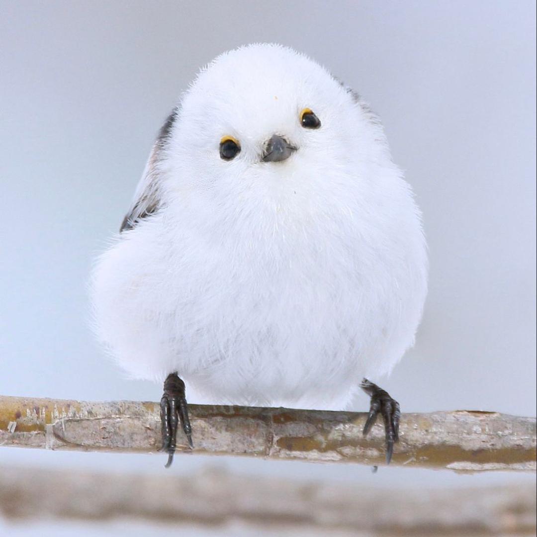 千山
