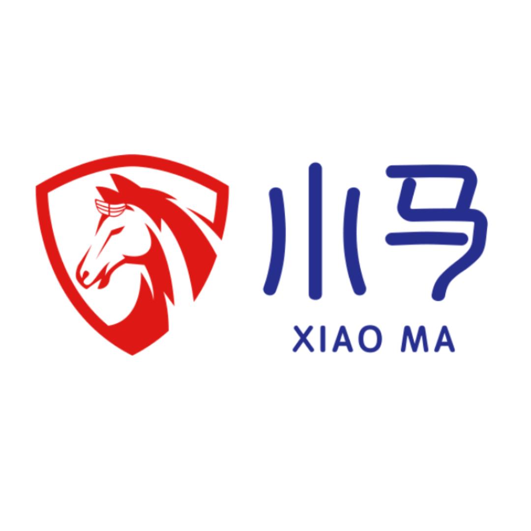 小马智能行泊仪