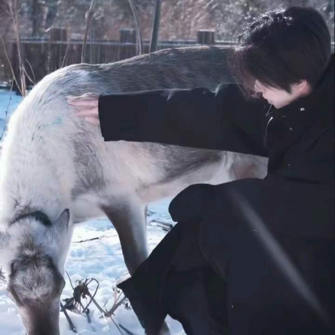 我是李团长#9857