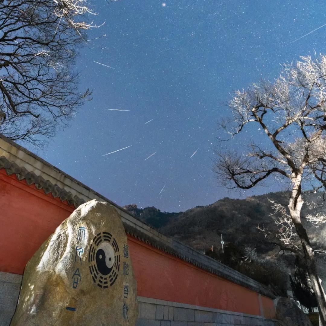 雾里寻花与夜游.