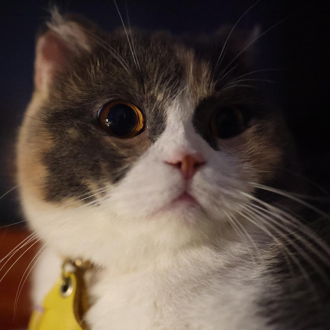 杰梵客jeefanco数码