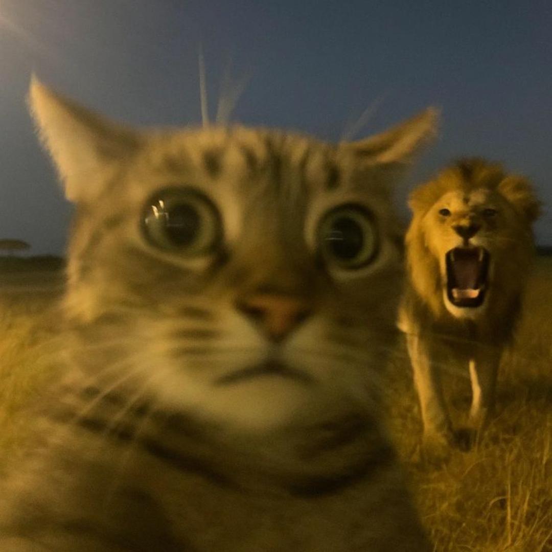 会辉发的非化肥