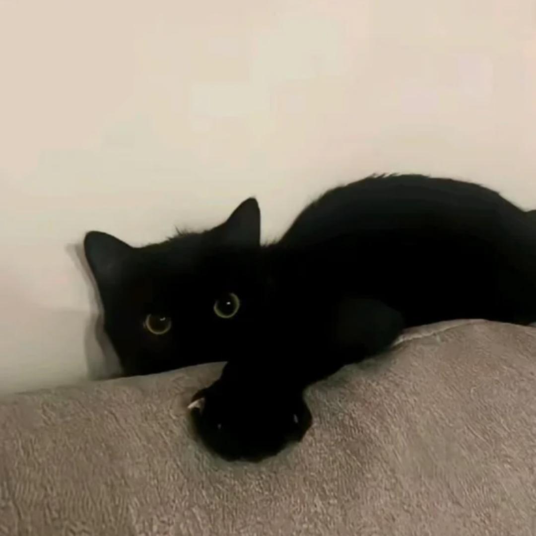 Aug.12_26