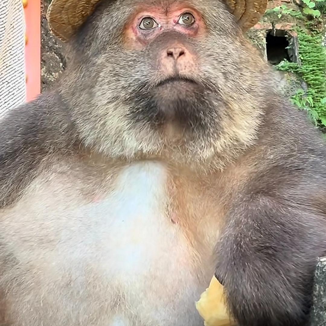 三岁要加油呀