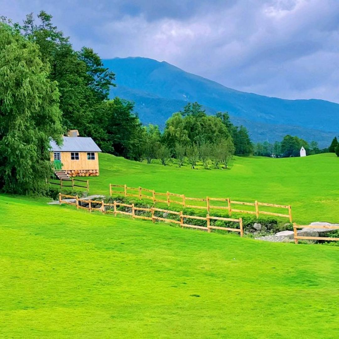 盛大叔ʕ•̫͡•ʔ