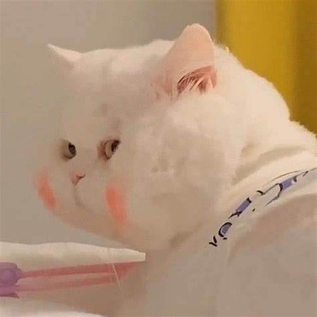 球球优选