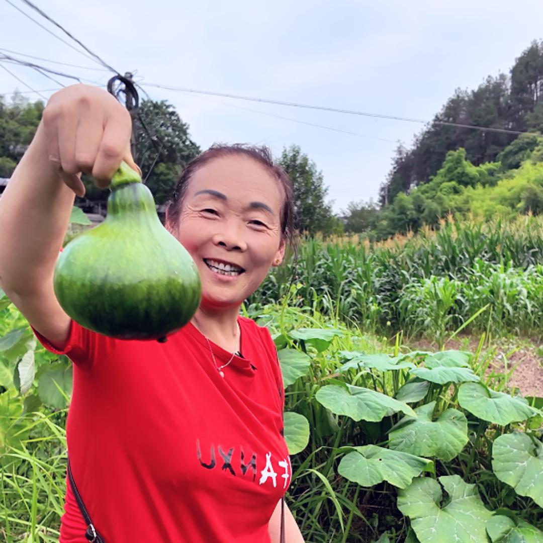 王嬢嬢的绿色蔬菜