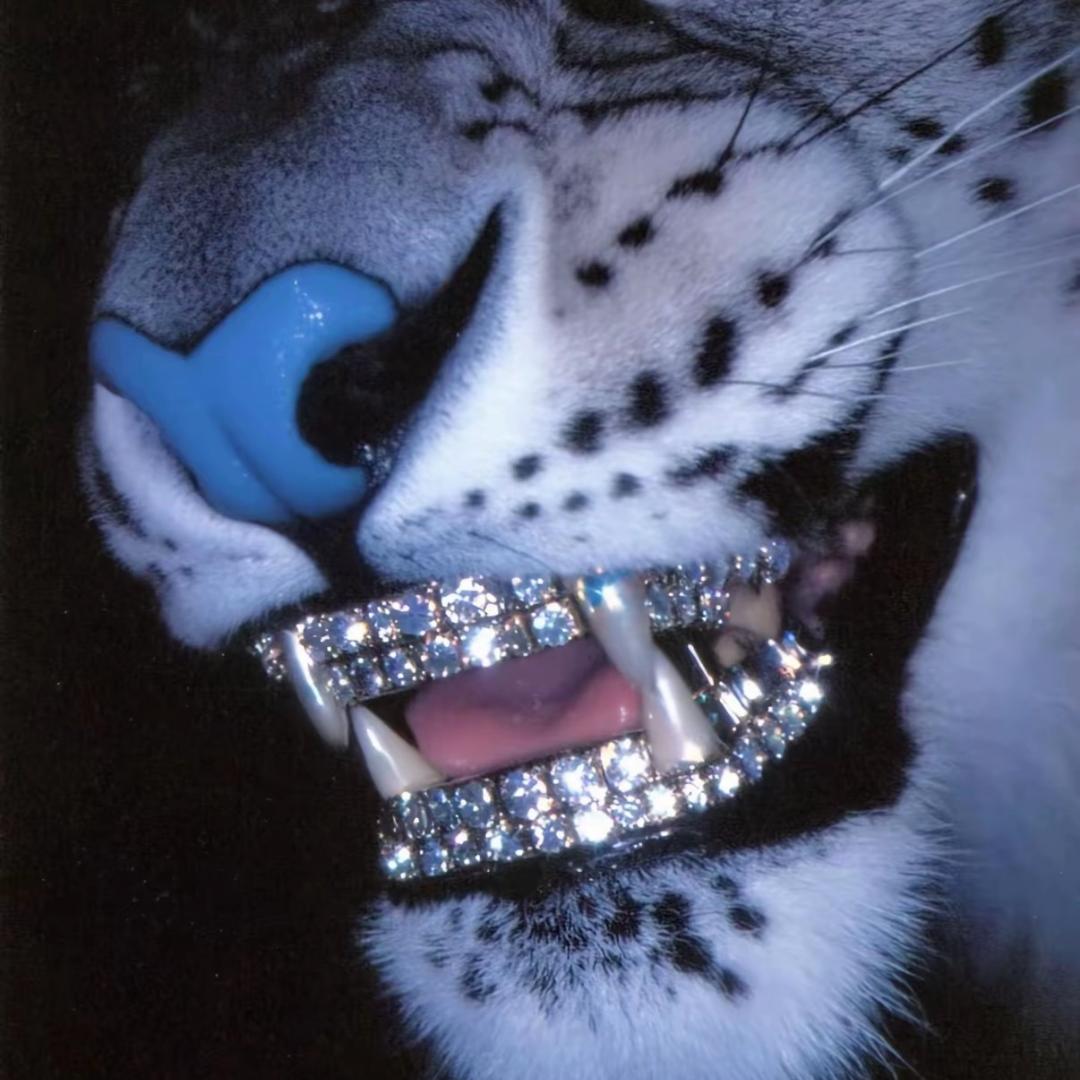 63🐆