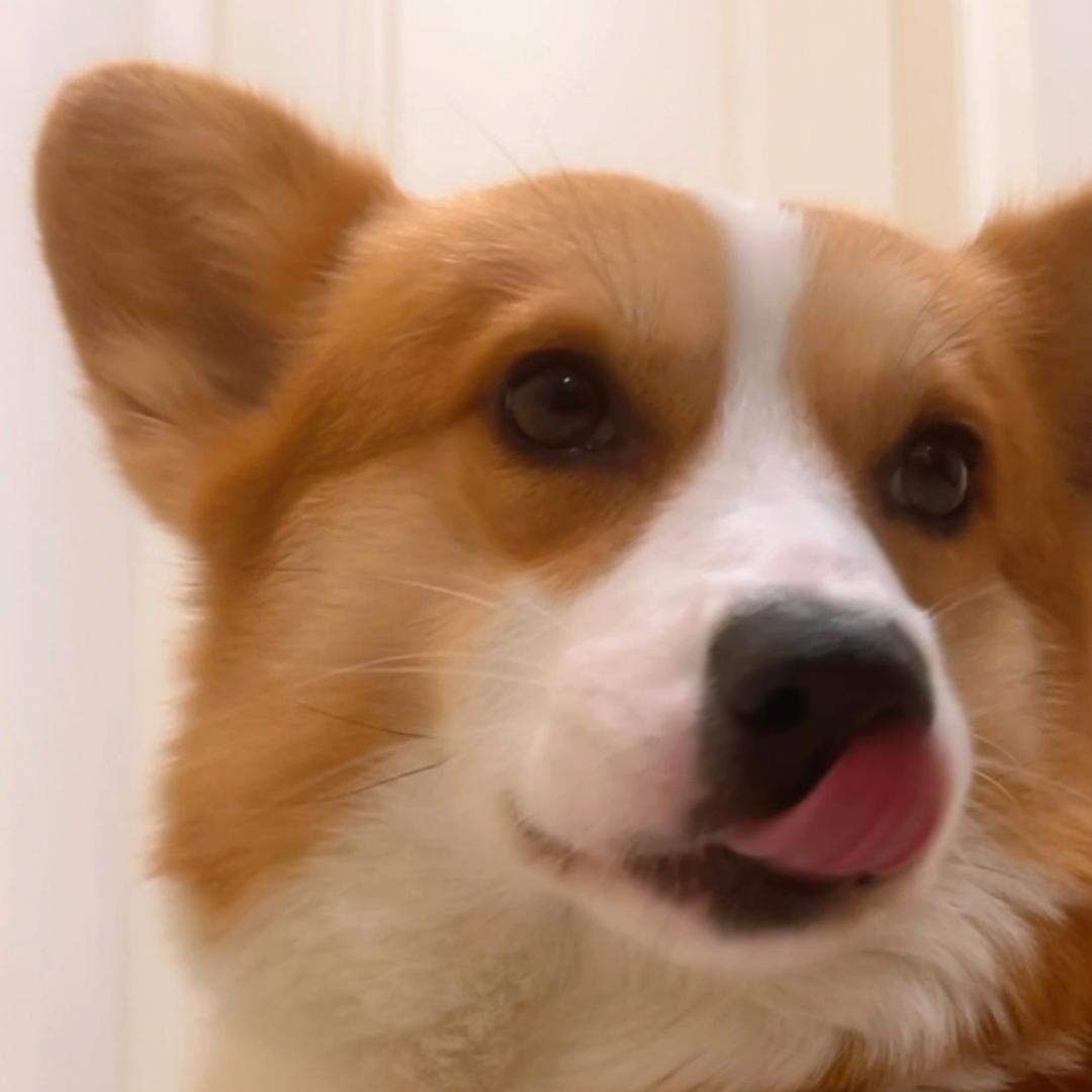 🌈奔波霸与霸波奔