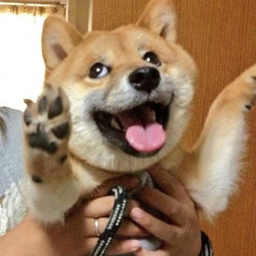 耧