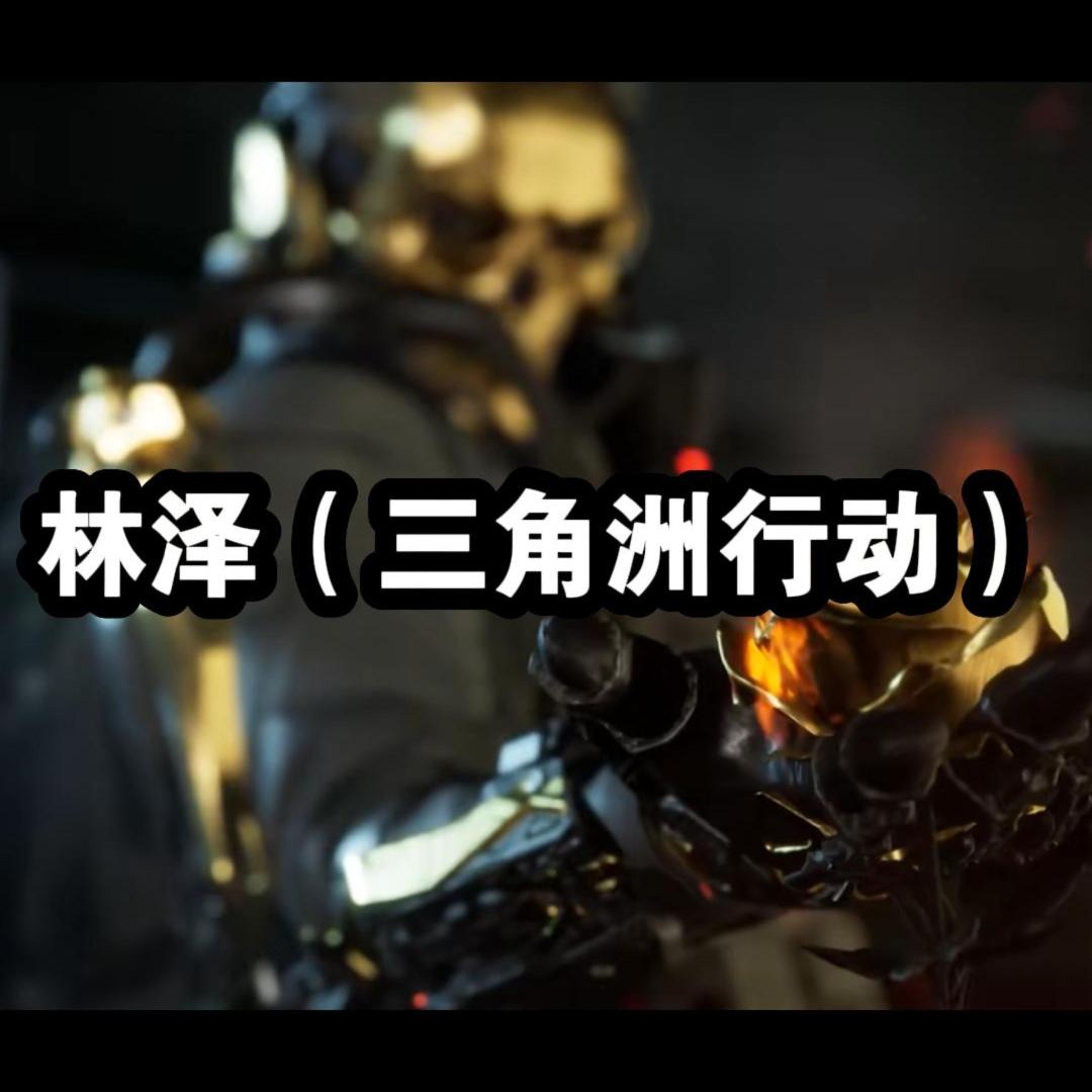 林泽（三角洲行动）
