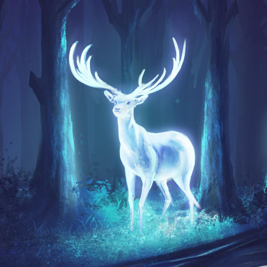 听说直播会红（出玄晶版）