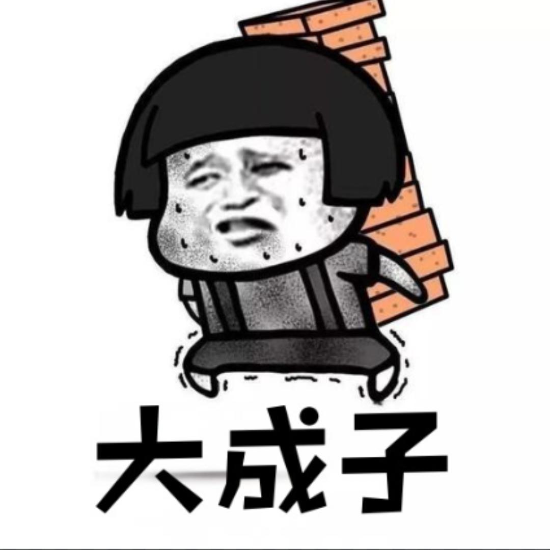 搬砖大成子