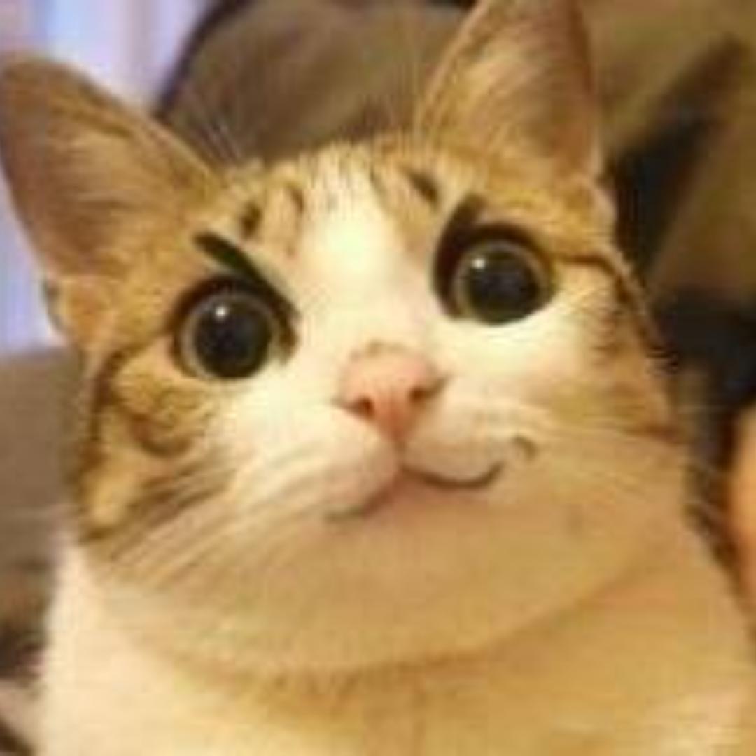 加菲猫猫王