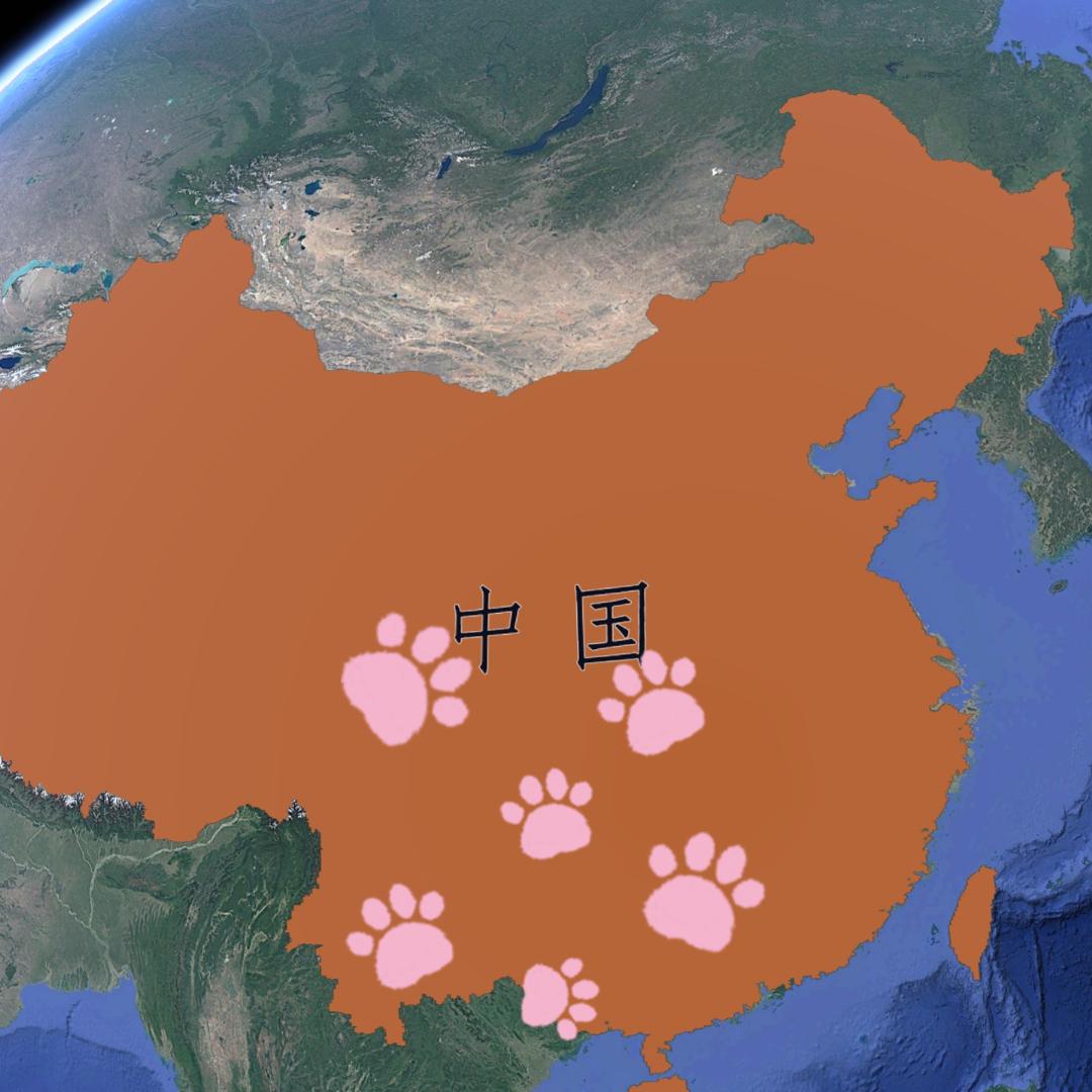 地理小喵