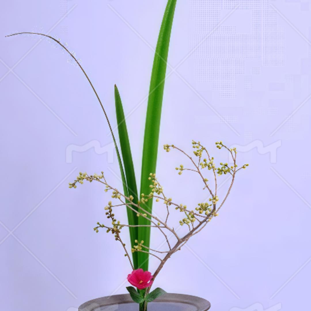 一亩三分地的店