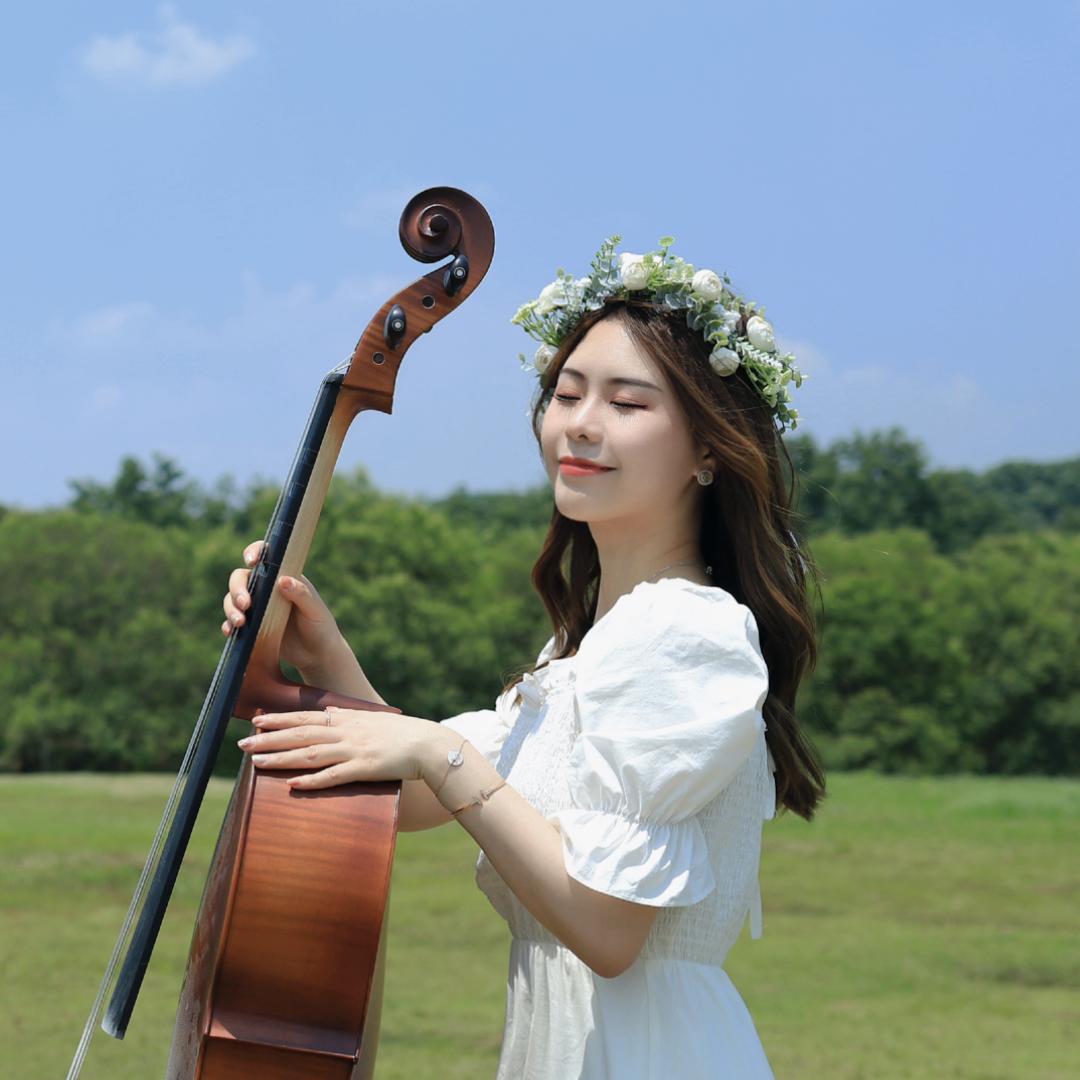 CelloSY