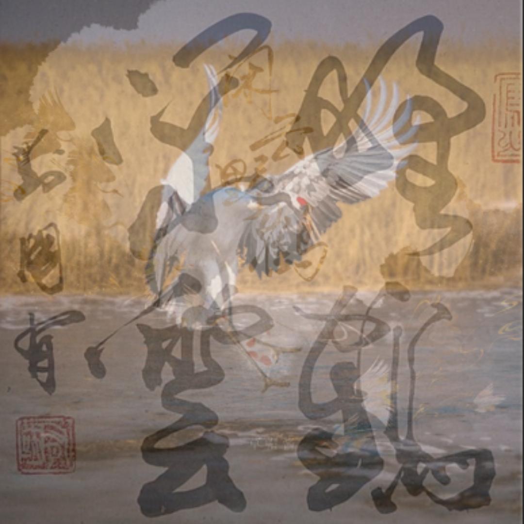 野鹤闲云