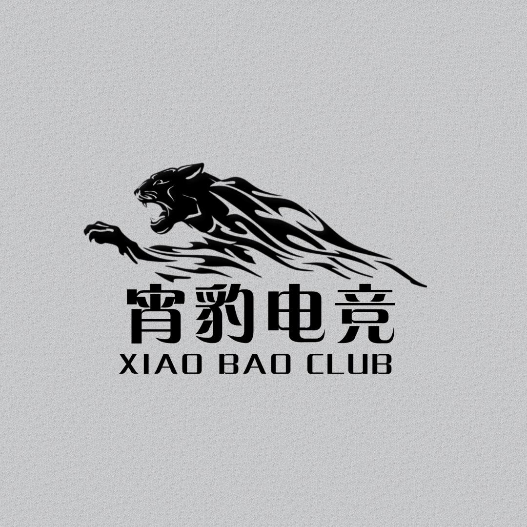 宵豹电竞（三角洲行动）
