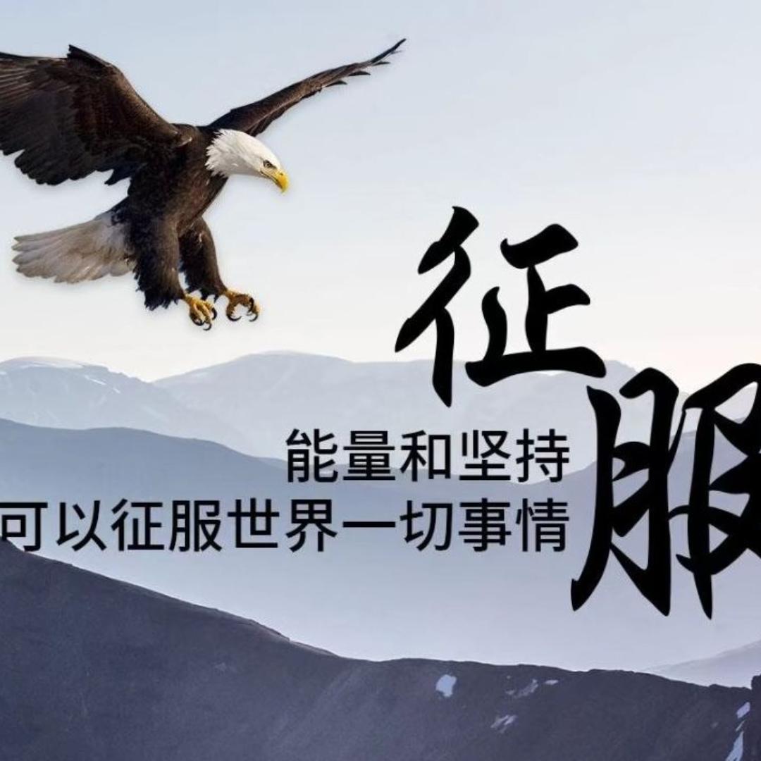 搭嘎个热热问问