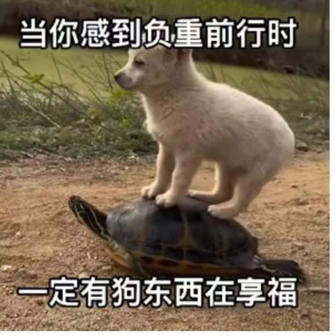 落尘鱼