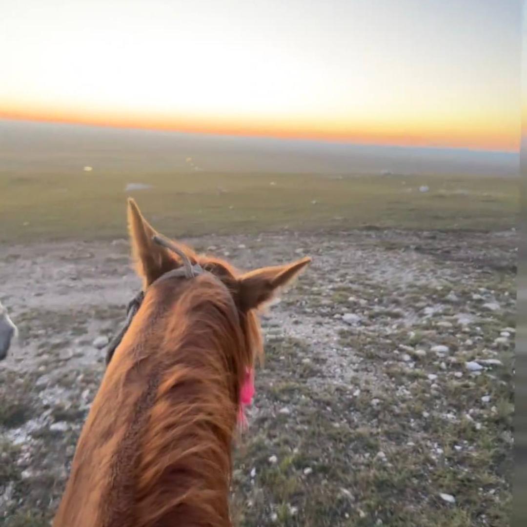 磉愁文艺馆创意屋