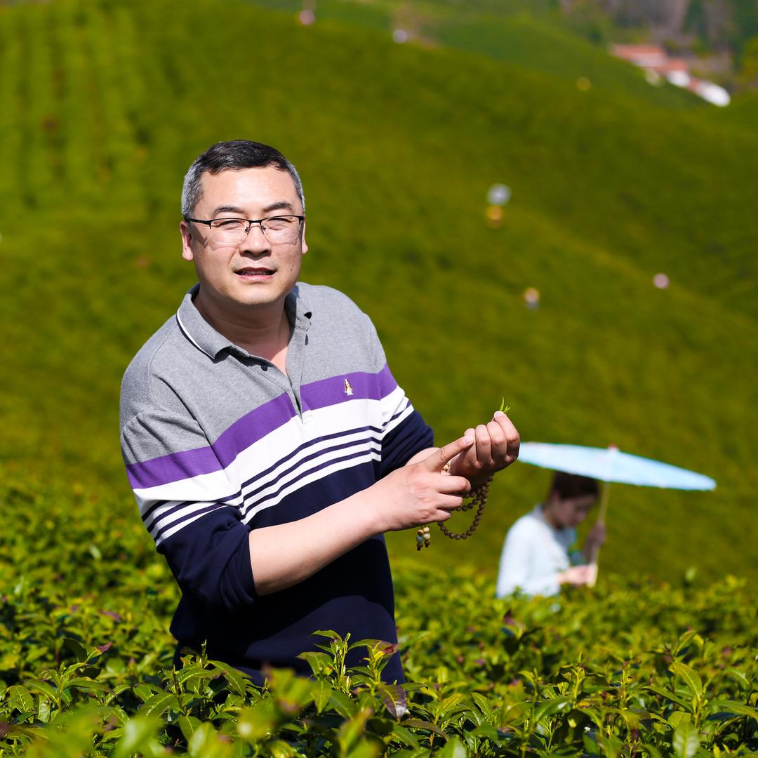 龙兴茶业