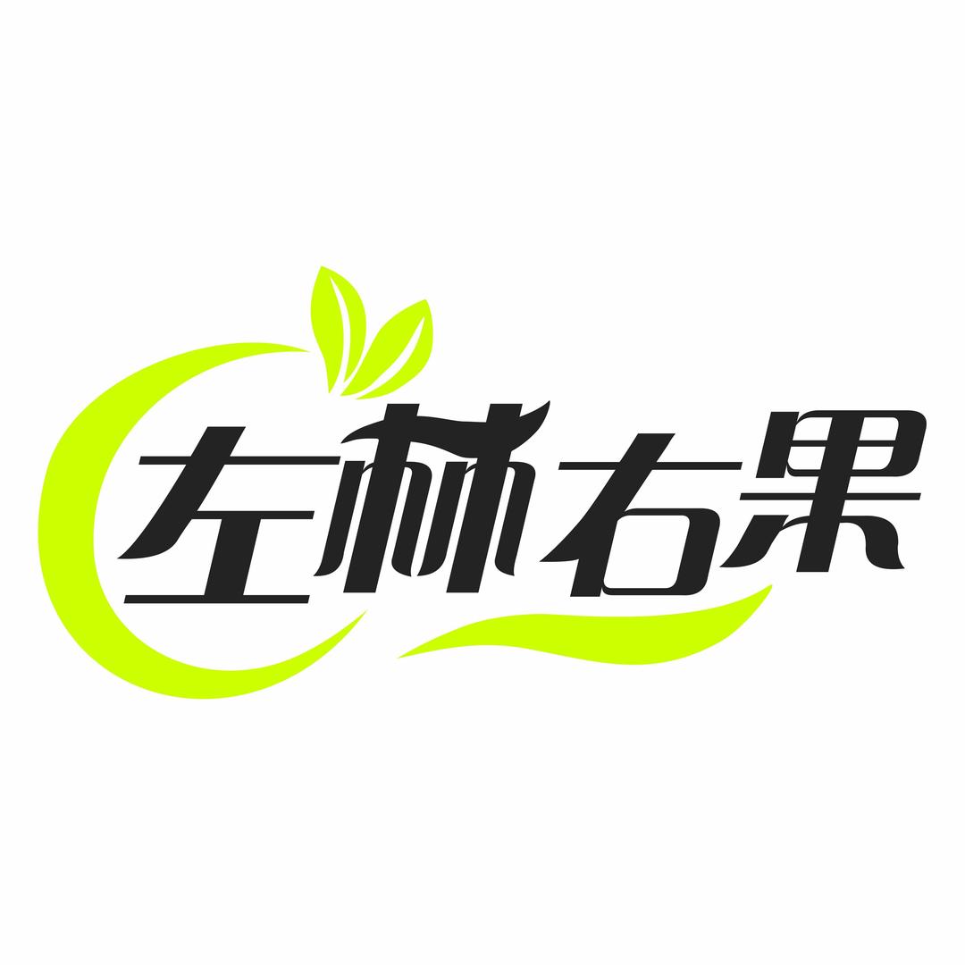 左林右果水果零食