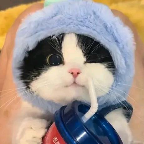 一只小肥牛