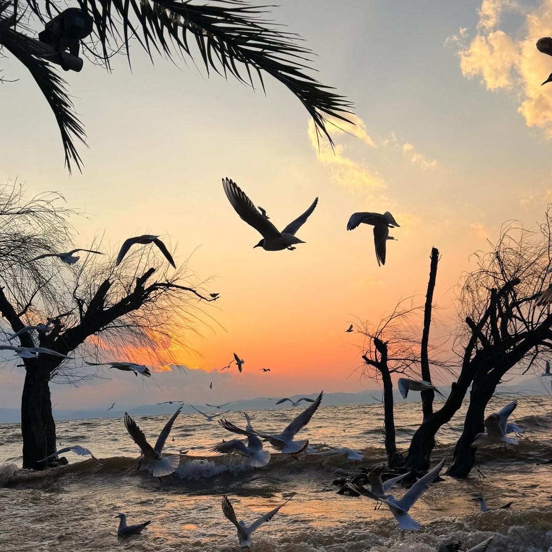 木木夕客栈(云南滇池民族村店)