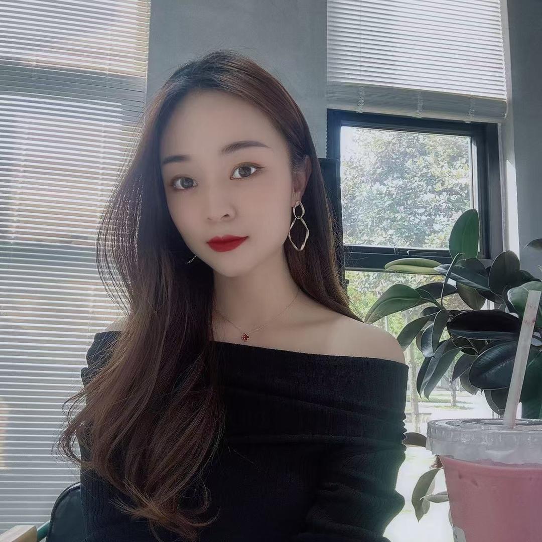 K9汽车贴膜-店花