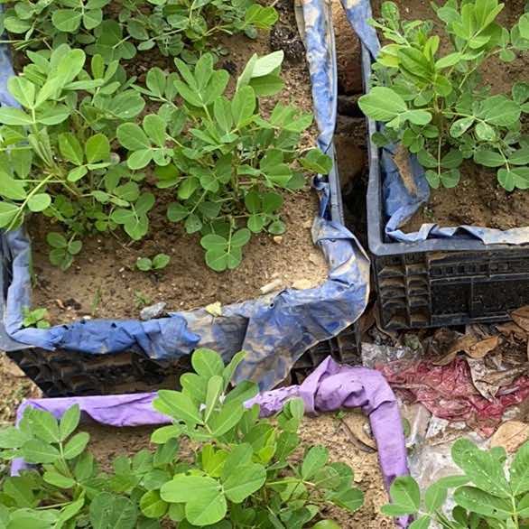 搽南商贸鞋服号