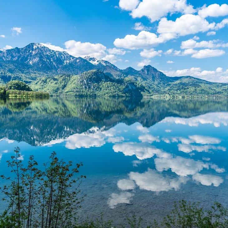 刘煌老师直播号