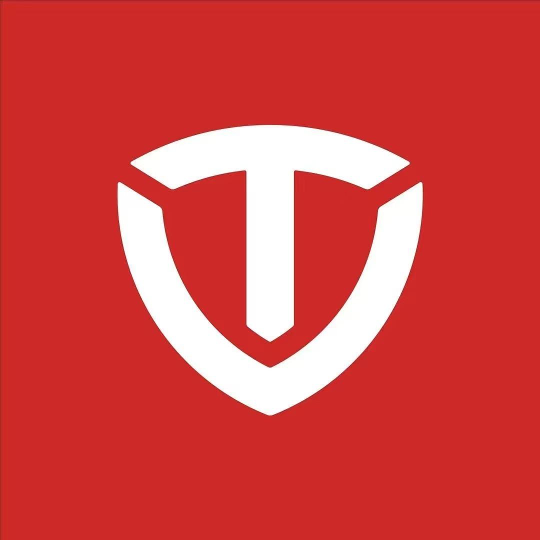 台铃电动车（叶城旗舰店）