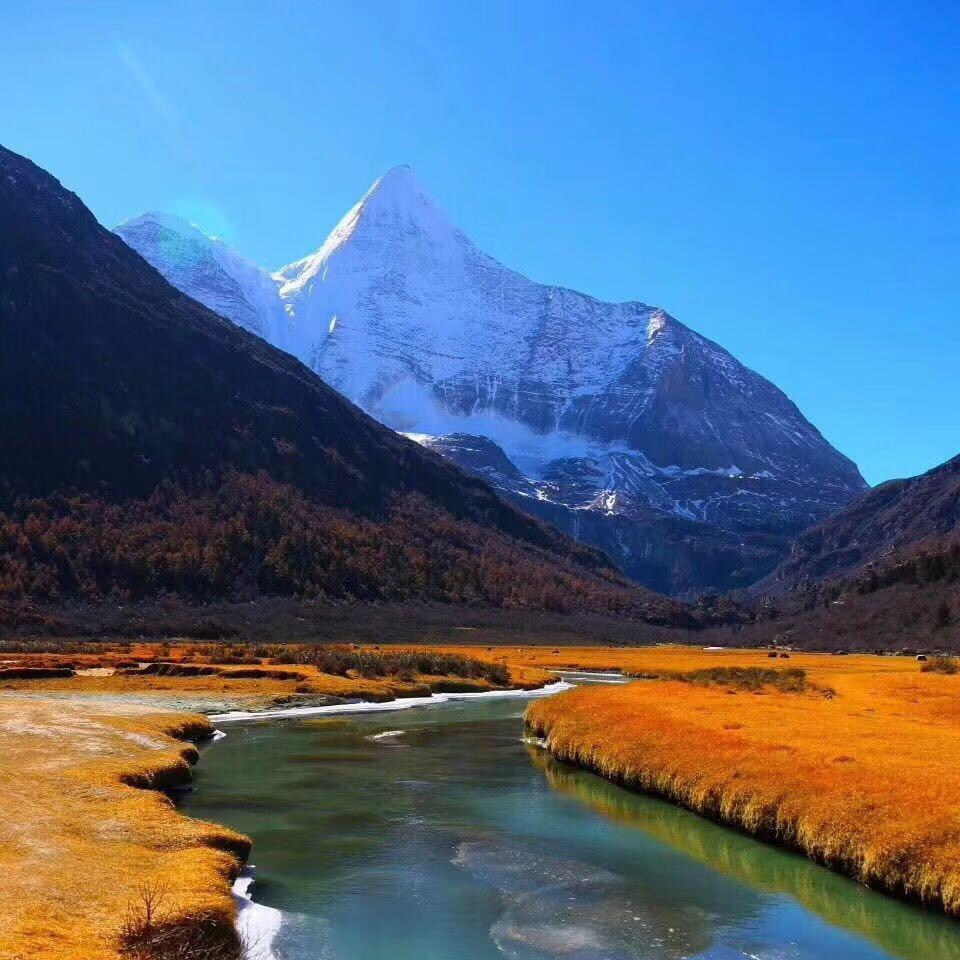 长春市灿辛直播号