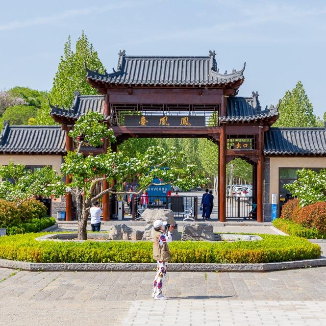 青州市凤凰台宠粉号