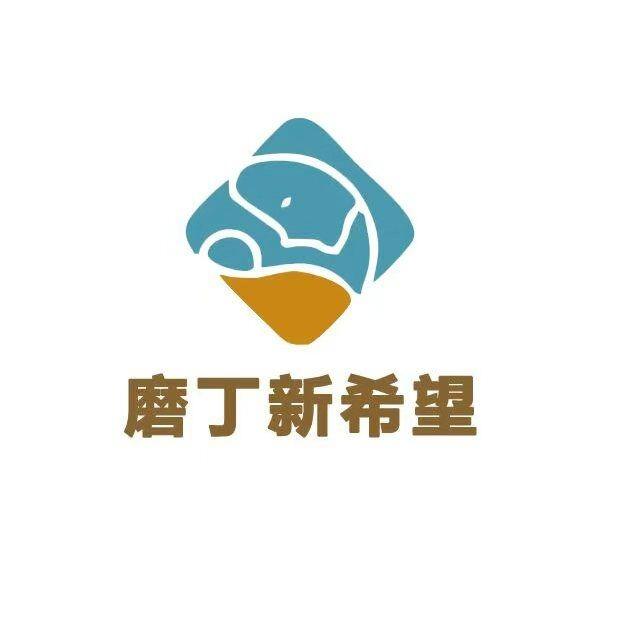 磨丁新希望助理