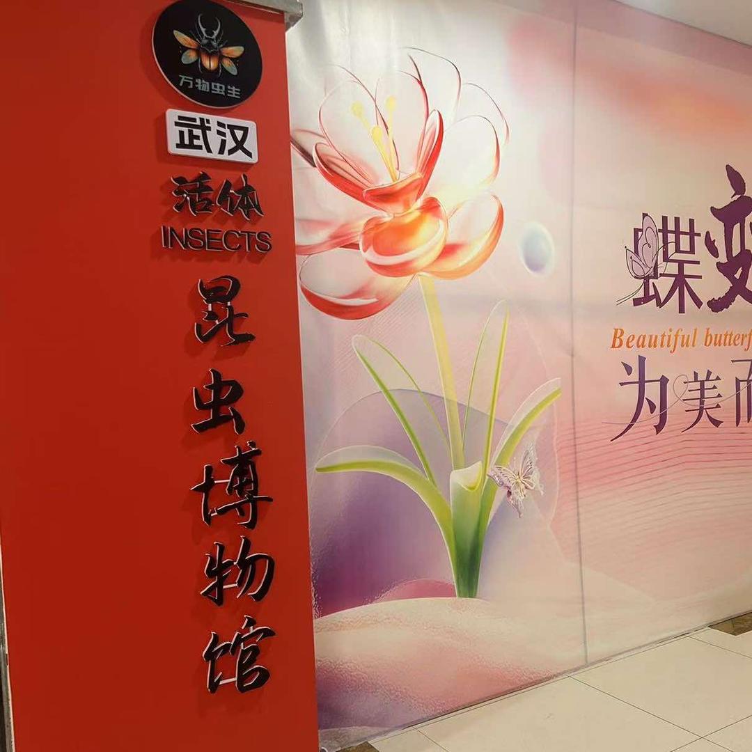 武汉活体昆虫博物馆