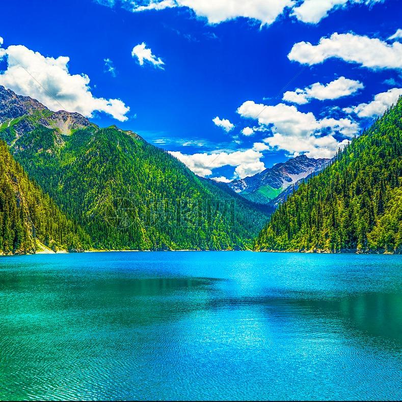 老椴商行程直播号